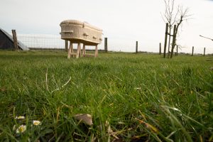 Afscheid thuis Uitvaarten West Friesland Uitvaartbegeleiding Rianne de Vries